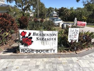 2026 - February - Pruning Demonstration