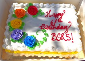 2026 - February - Pruning Demonstration