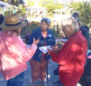 2026 - February - Pruning Demonstration
