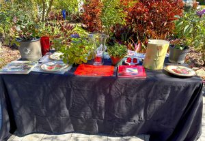 2026 - February - Pruning Demonstration