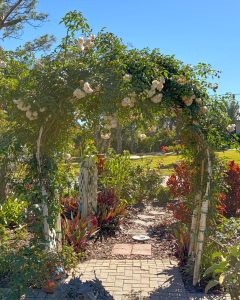 2026 - February - Pruning Demonstration