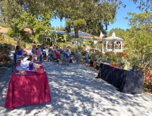 2026 - February - Pruning Demonstration